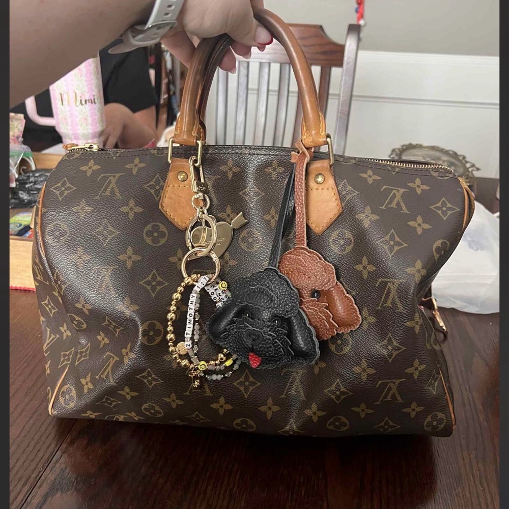 Louis Vuitton Vintage (2006) Speedy 35